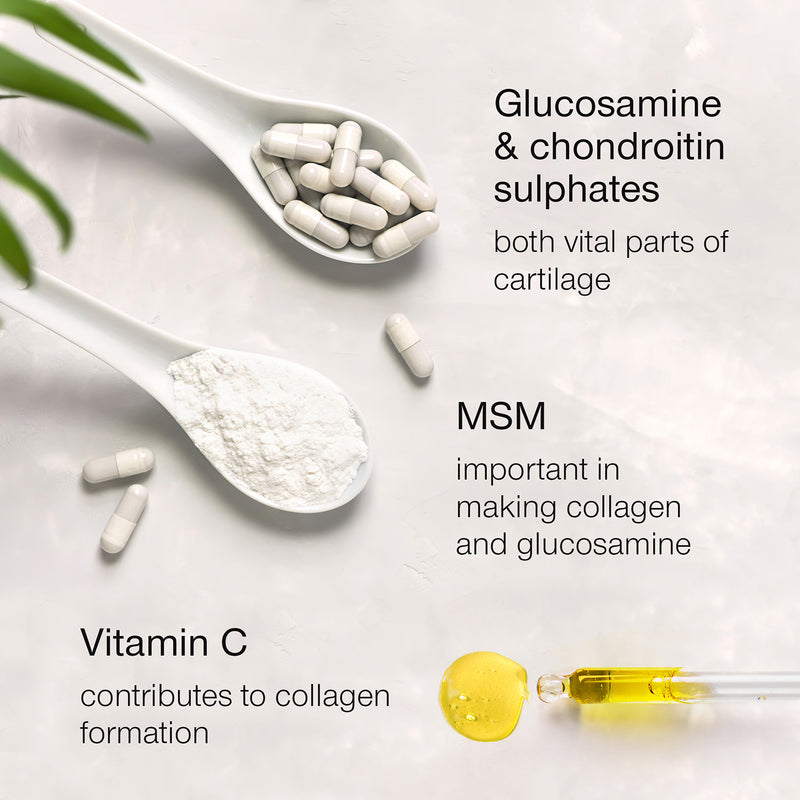 SuperSelf glucosamine complex with chondroitin 120 capsules, UK version