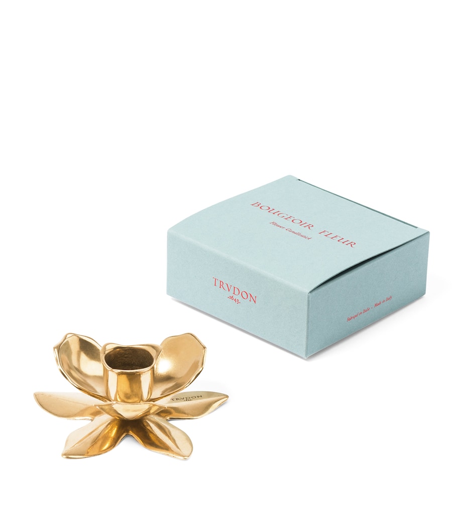 Trudon flower candlestick holder, imported from the UK