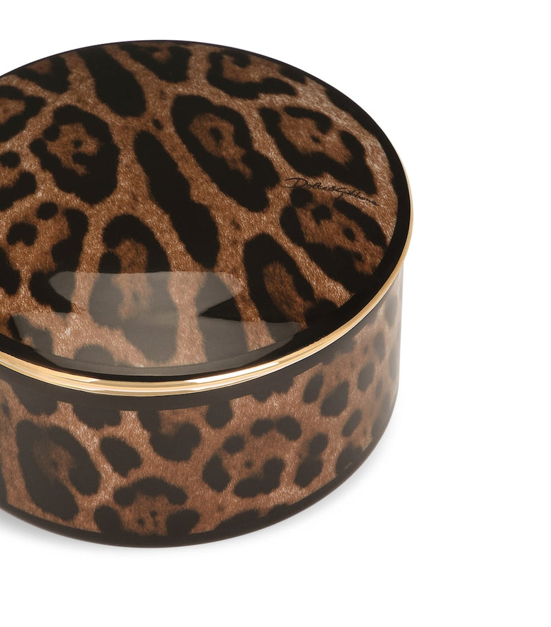 Dolce&Gabbana Leopardo porcelain trinket box - British product