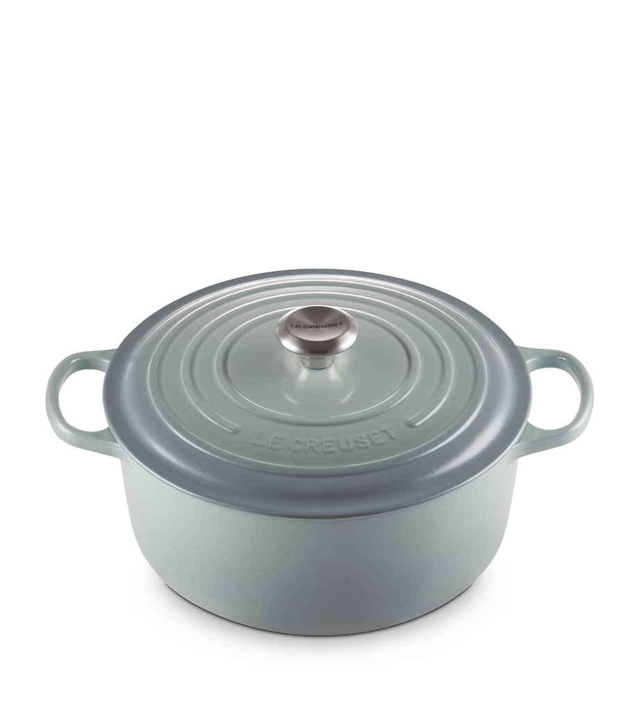 Le Creuset cast iron round casserole dish 28cm, UK version