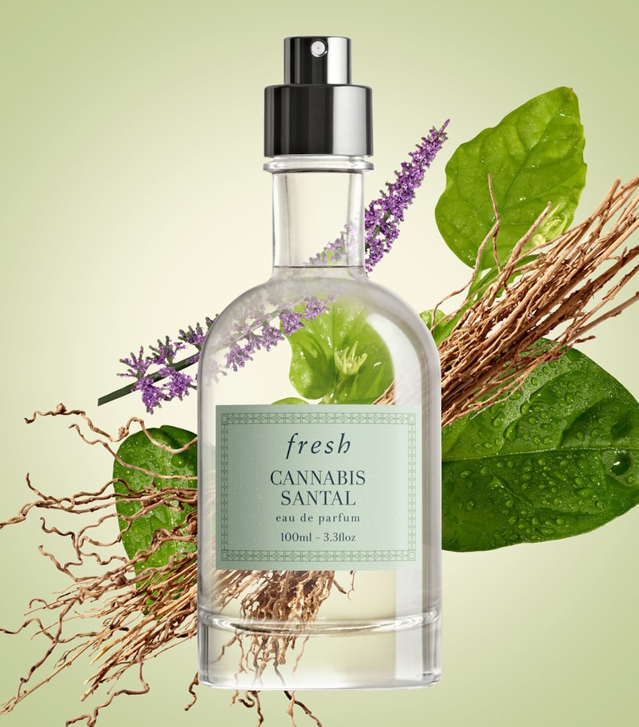 Fresh Cannabis Santal eau de parfum 100ml, imported from the UK