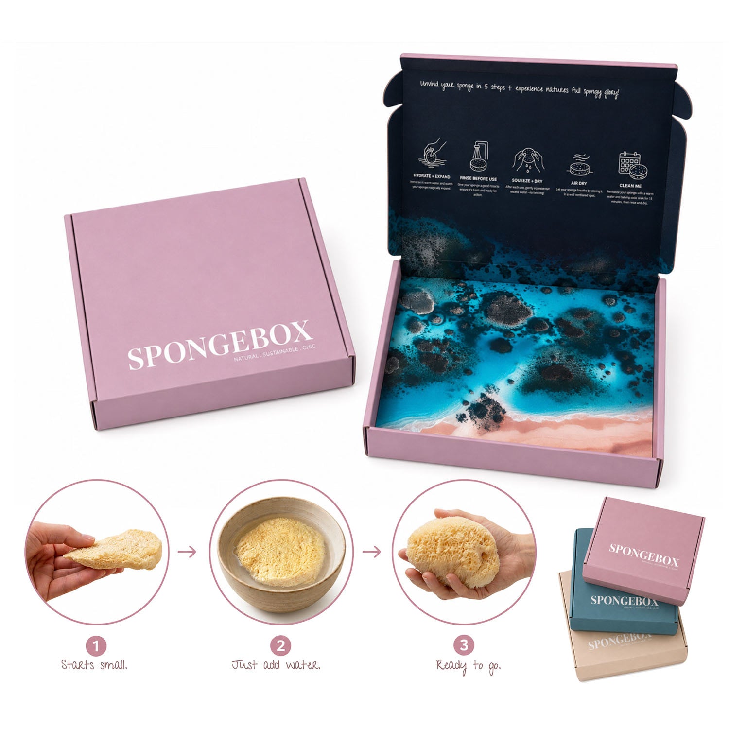 SpongeBox natural sea sponge 6-6.5 inches imported from the UK