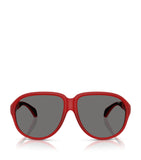 Moncler Halcyonne sunglasses ME8001 - British product