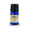 Holly Botanic grounding essential oil blend 10ml, imported from the UK