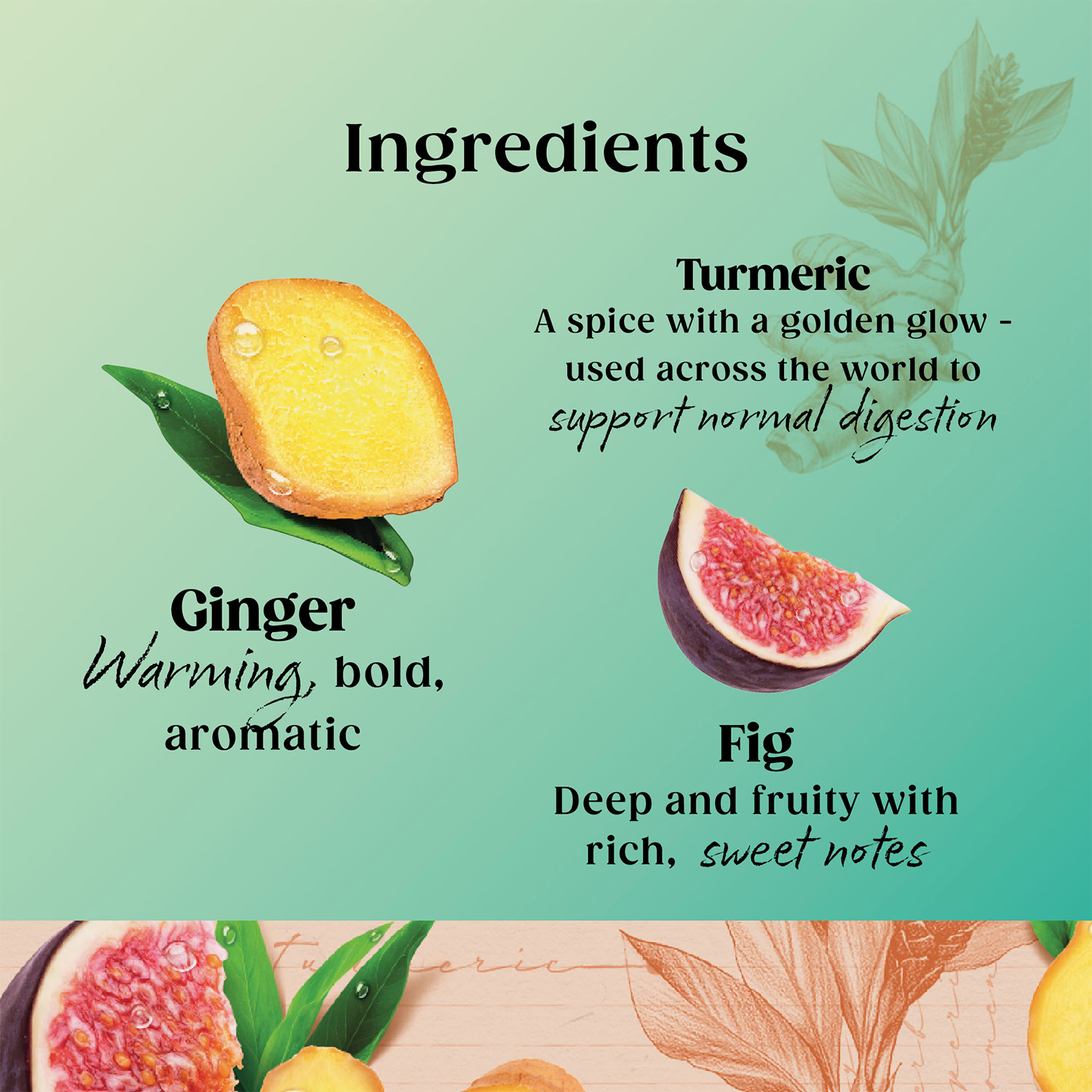 Ginger and Turmeric Herbal Digestive Infusion with Fig 20 Teabags