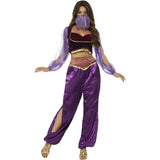 Smiffys Arabian Princess costume purple with trousers top and face veil (British brand)