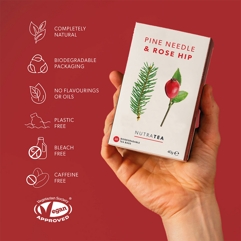 Herbal Tea Pine Needle & Rose Hip 20 Tea Bags (British brand)