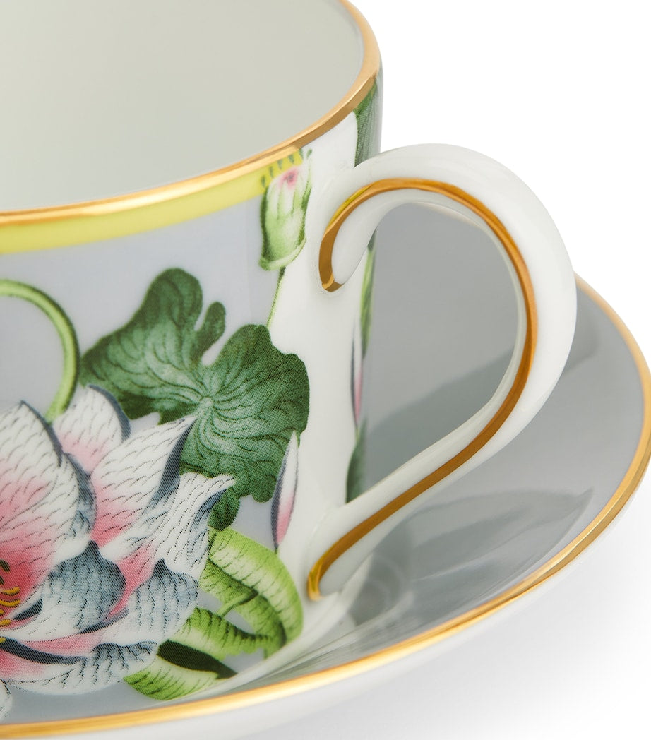 Wedgwood Wonderlust Waterlily teacup and saucer (British brand)