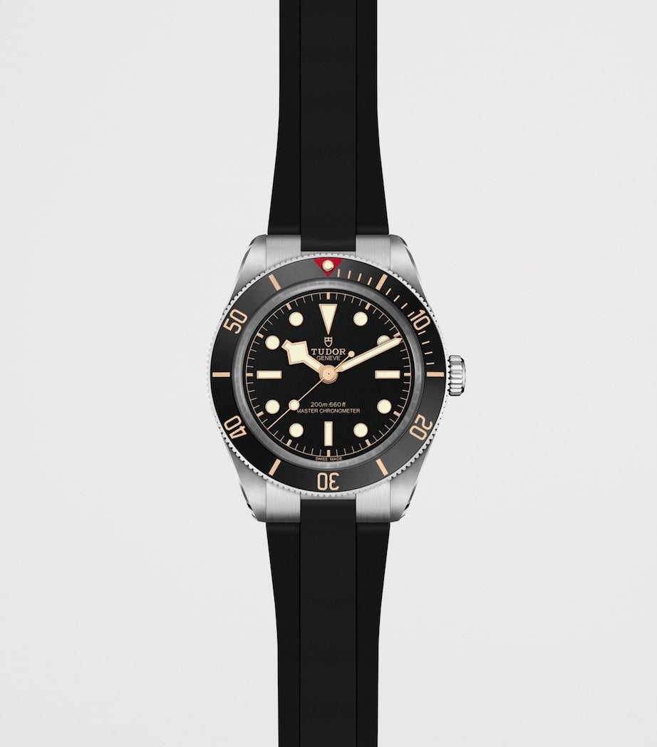 TUDOR Black Bay 58 GMT dive watch 39mm (British brand)