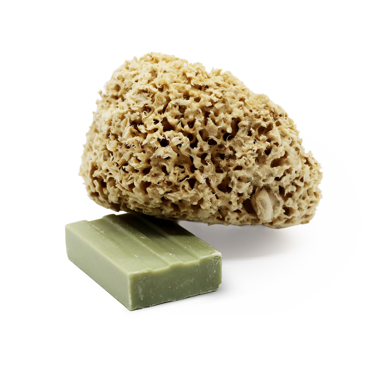 SpongeBox Honeycomb Luxe natural sea sponge 5-5.5 inches (British brand)