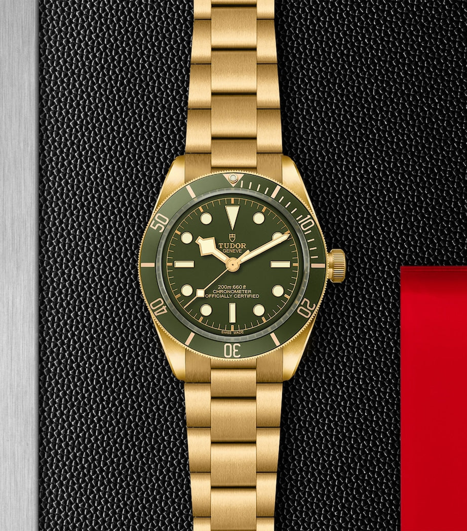 TUDOR Black Bay Yellow Gold 39mm watch, UK version