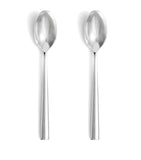 Wedgwood stainless steel teaspoons set of 2 (British brand)