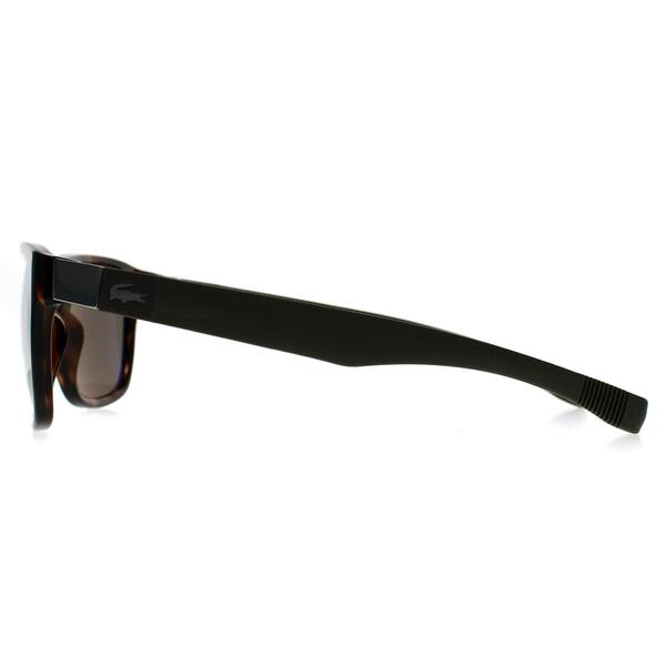 Lacoste L664S sunglasses Dark Havana Green (British brand)