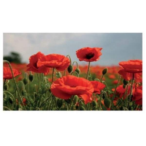 Kevin Milner Poppy Flower Countryside Card GOODS Superdrug   