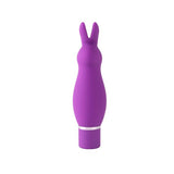 Ann Summers Bunny Lovin rabbit clit stim vibrator, imported from the UK