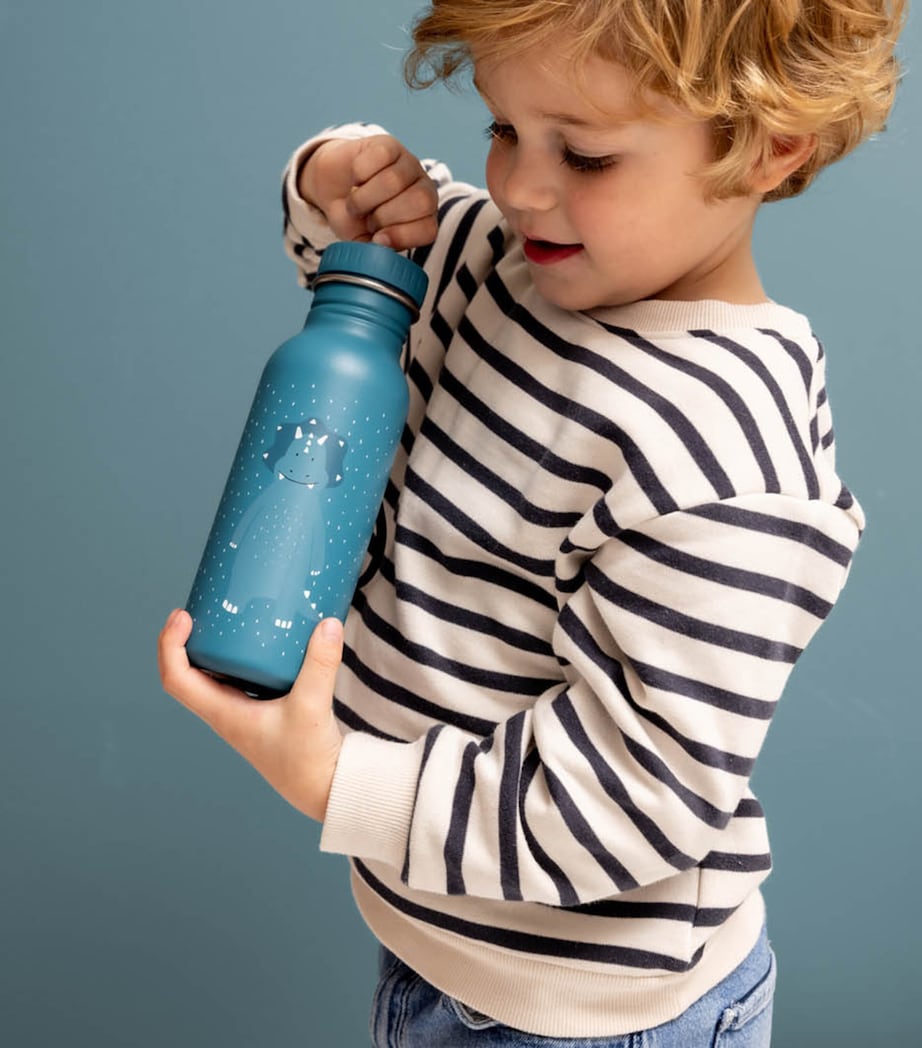 Trixie Mr Triceratops water bottle 500ml - British product