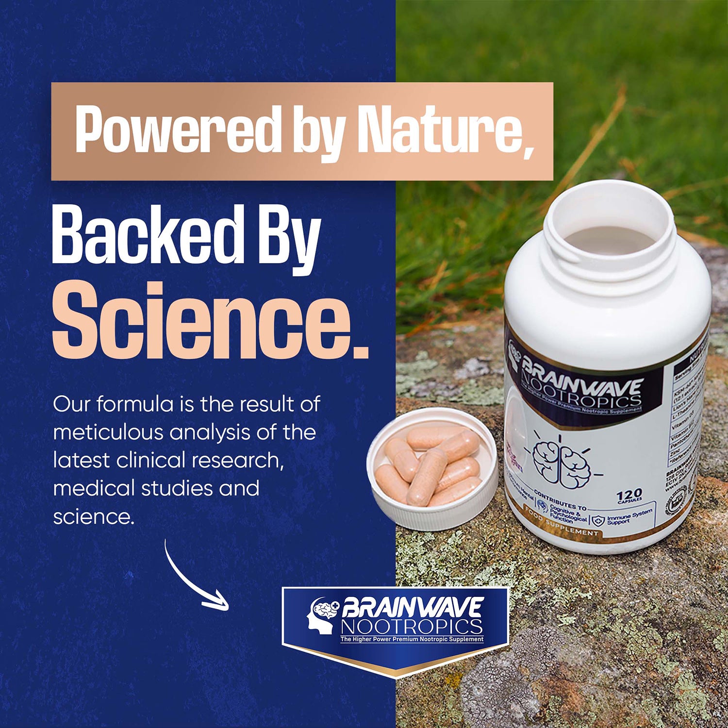 Brainwave Nootropics brain supplement complex 120 capsules (British brand)