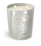 Diptyque Feu de Bois candle 600g - British product