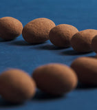Cocoa-Dusted Almonds (600g)