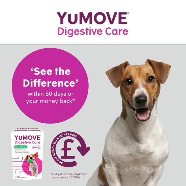 YuMOVE Dog Digestive Health Probiotics Supplement   120 per pack GOODS M&S   