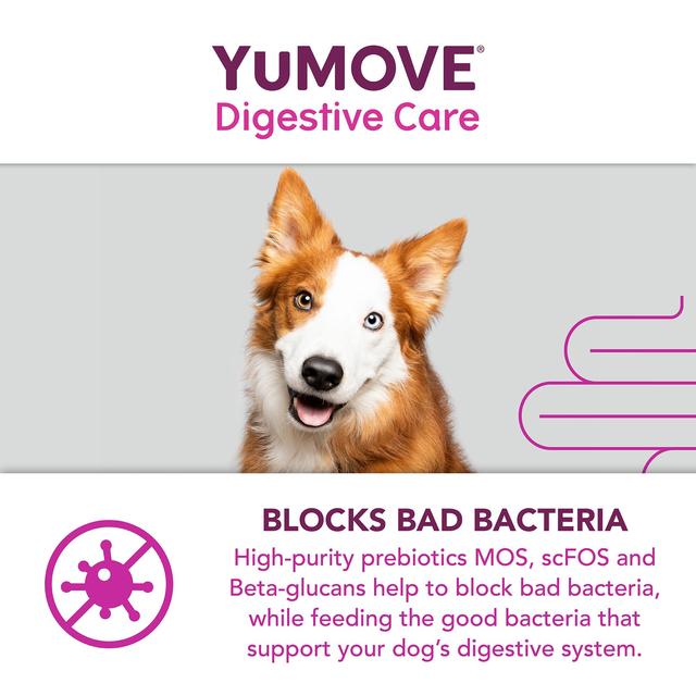 YuMOVE Dog Digestive Health Probiotics Supplement   120 per pack GOODS M&S   