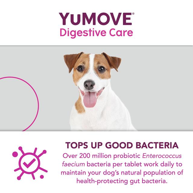 YuMOVE Dog Digestive Health Probiotics Supplement   120 per pack GOODS M&S   