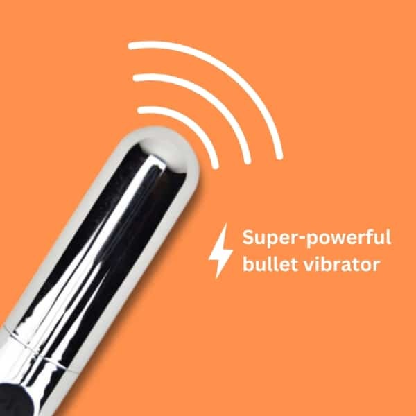 Loving Joy bullet vibrator 10 function rechargeable silver, UK version