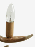 Antler wall light, natural wood-effect finish (British brand)
