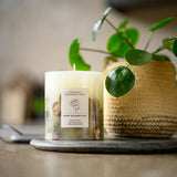 French Connection botanical cherry blossom and rose candle 660g - British product