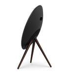 Bang & Olufsen Beosound A9 5th Generation speaker - British product