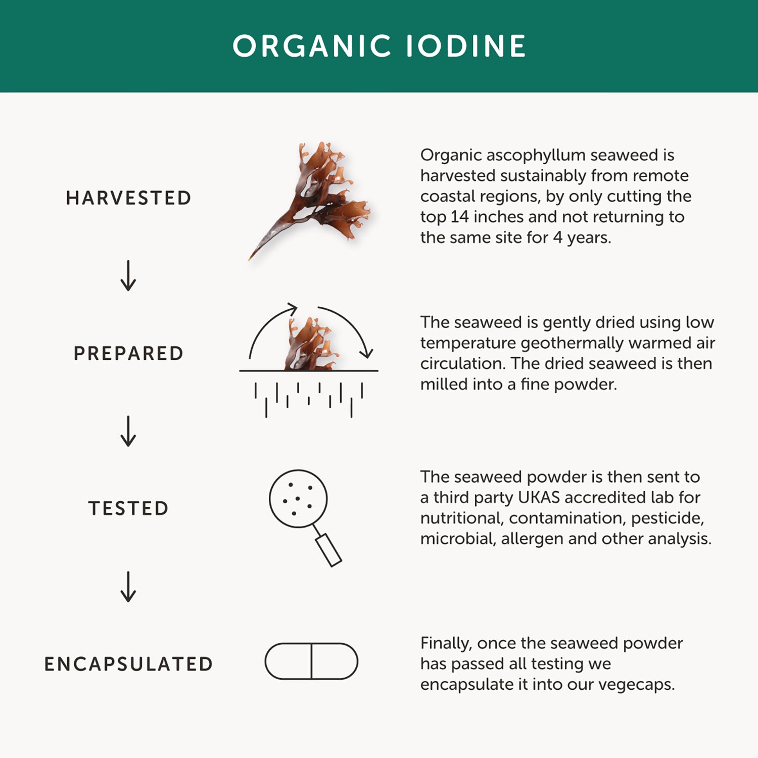 Together Health Organic Iodine supplement 30 capsules - British product