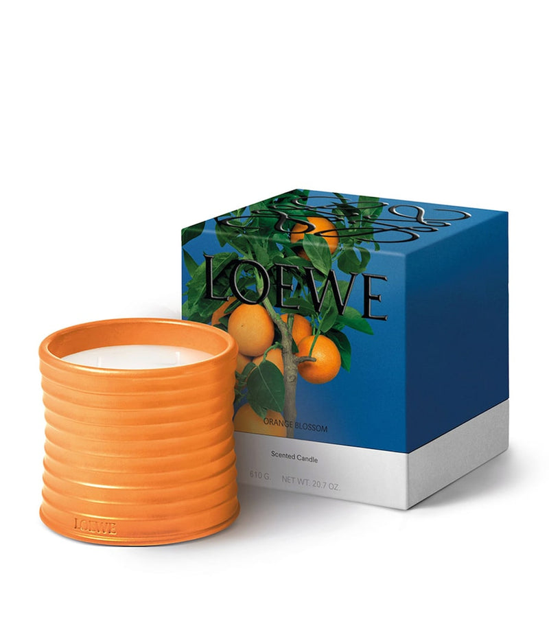 LOEWE Orange Blossom candle 1.5kg, UK version