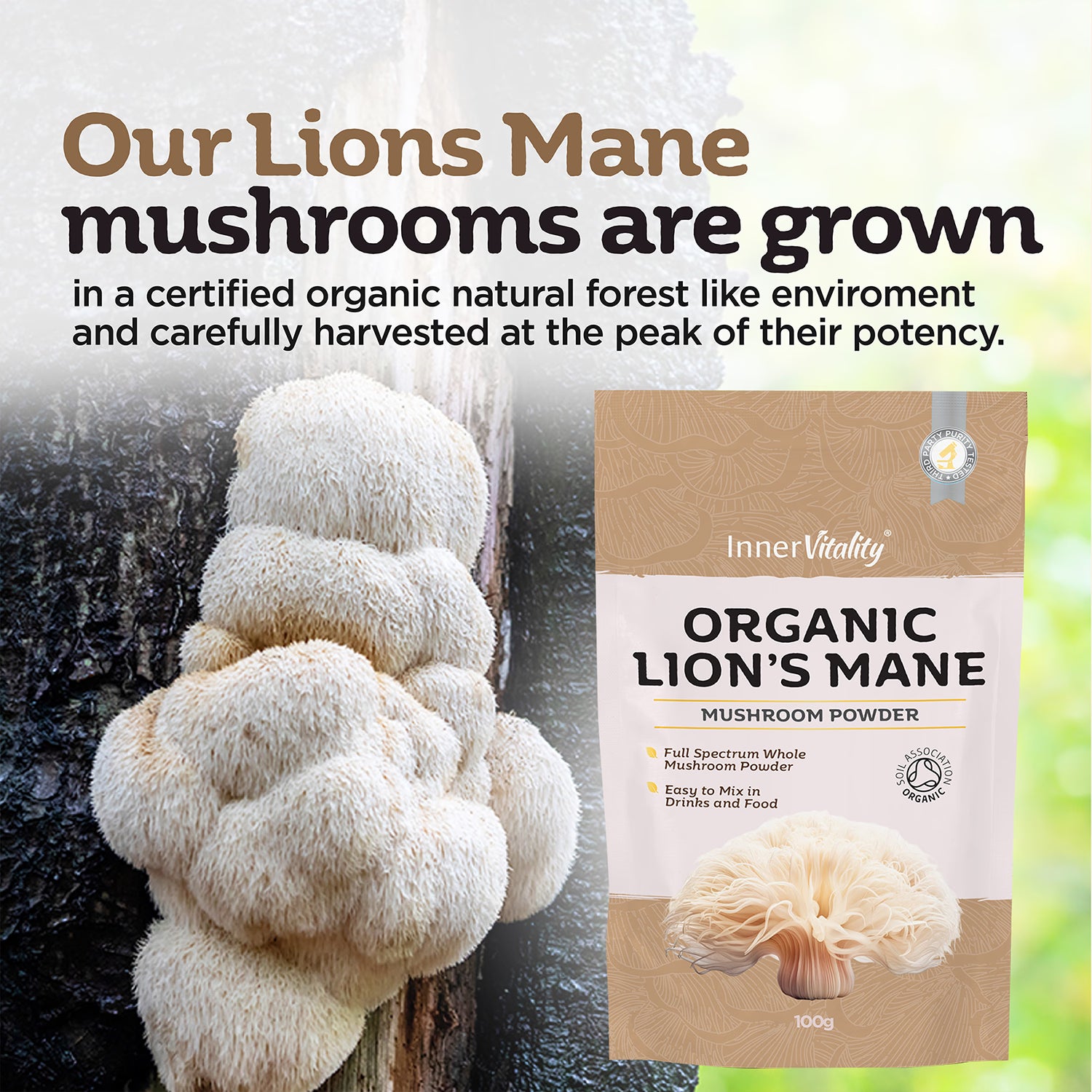 Inner Vitality organic lions mane mushroom powder 100g, imported from the UK
