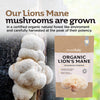 Inner Vitality organic lions mane mushroom powder 100g, imported from the UK