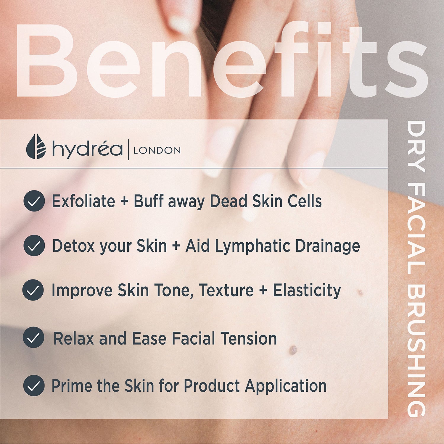 Hydréa London natural bristle facial brush (British brand)