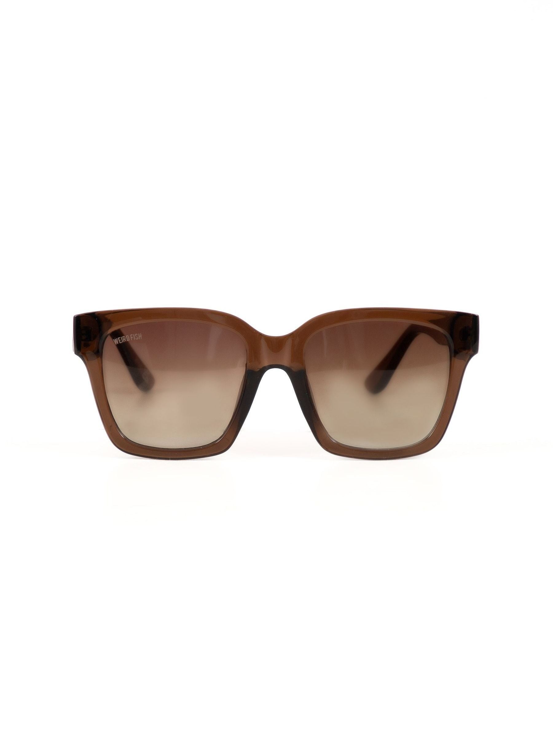 Weird Fish Torvill brown oversized sunglasses, UK version