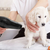 Wahl pet hair dryer with stand 1800W (British brand)