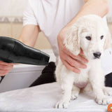 Wahl pet hair dryer with stand 1800W (British brand)