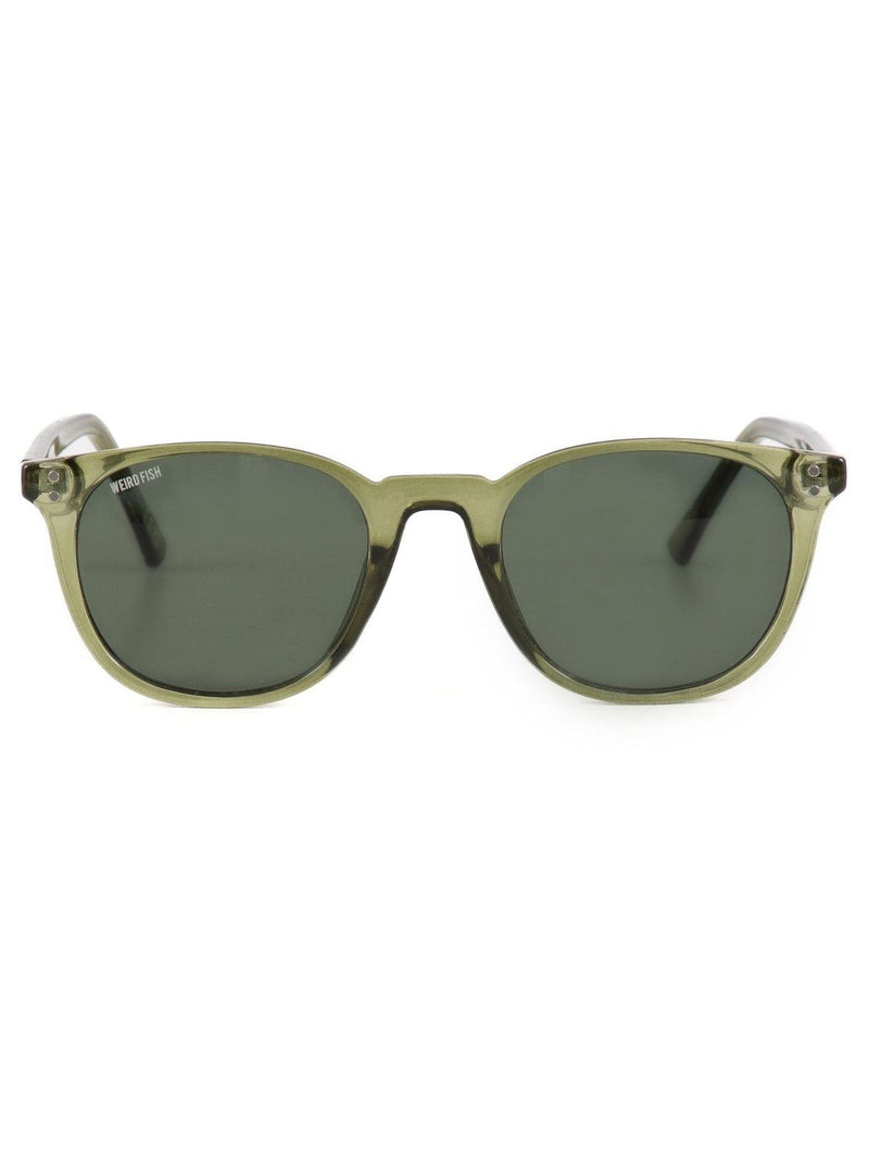 Weird Fish Green Novak sunglasses - British product