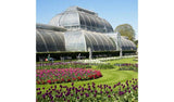 Buyagift Visit To Kew Gardens And Palace For Two Experience GOODS Argos