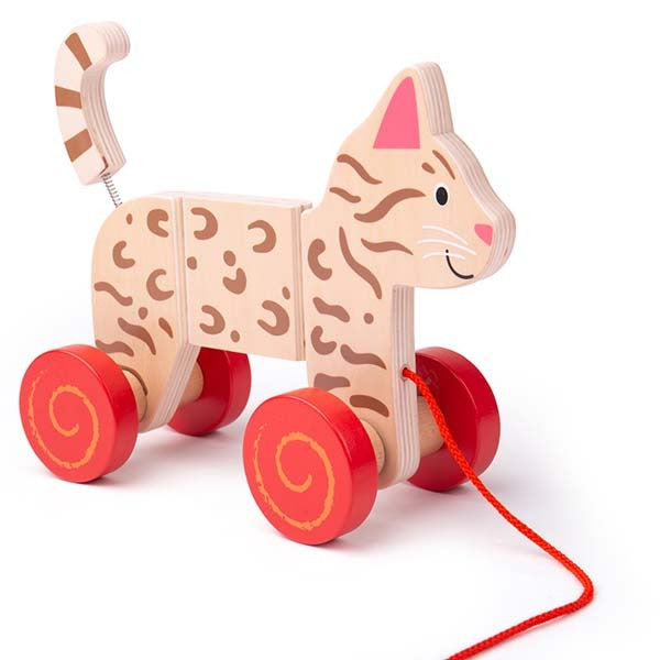 Bigjigs Toys Wooden Pull Along Cat Toy