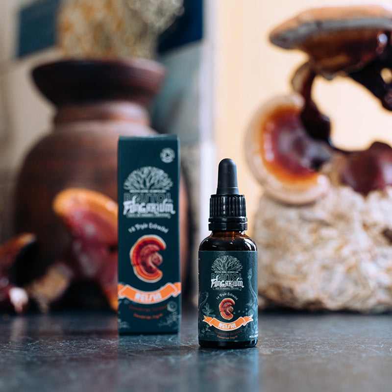 Bristol Fungarium Reishi 18 Triple Extract Tincture 30ml