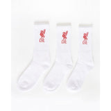 Liverpool FC Adult Sports Socks (Pack of 3) (8-11) GOODS Superdrug   