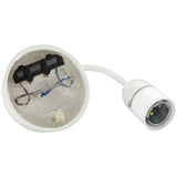 BG ceiling rose with BC light bulb fitting, UK version