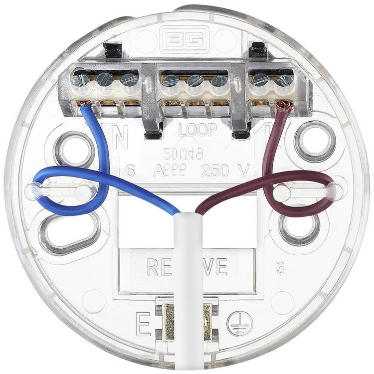 BG ceiling rose with BC light bulb fitting, UK version