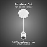 BG ceiling rose with BC light bulb fitting, UK version
