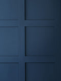 Graham & Brown Blue Resistance paint, imported from the UK
