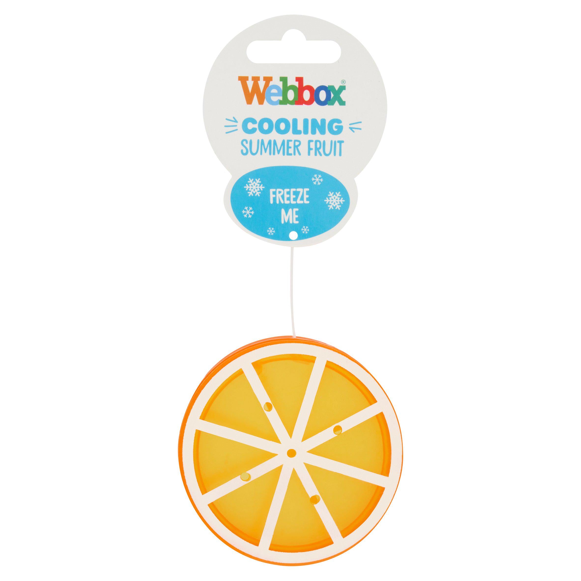 Webbox Cooling Summer Fruit GOODS Sainsburys   