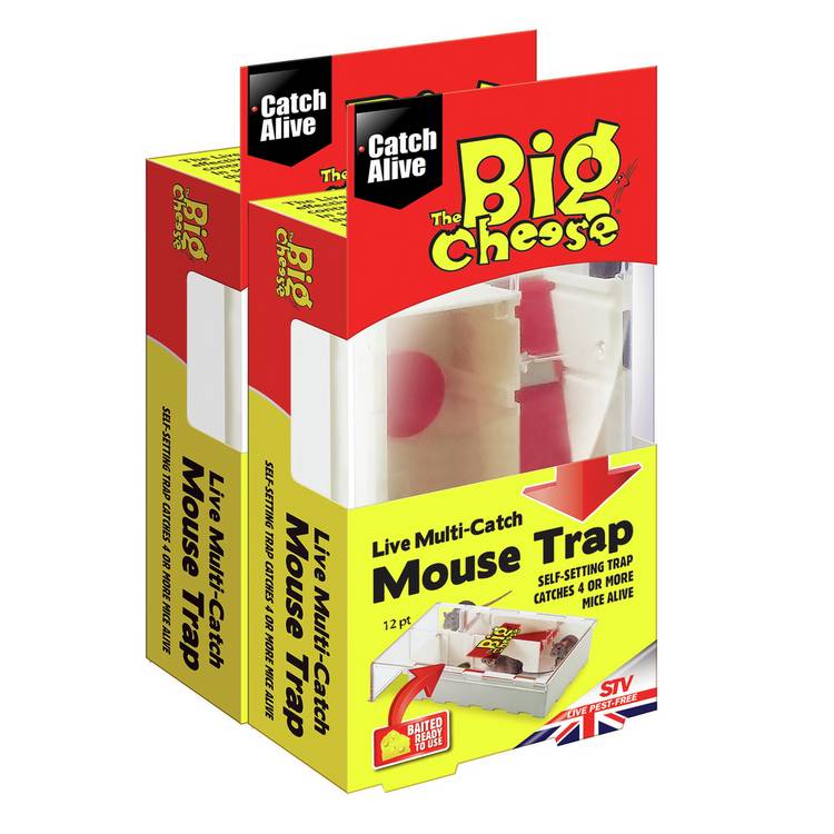 The Big Cheese humane mouse trap twin pack (British brand)