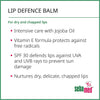 Sebamed Lip Defense Stick SPF30 4.8g, imported from the UK